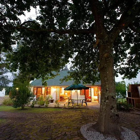 Swallows Nest Country Cottages Stormsrivier Exterior photo